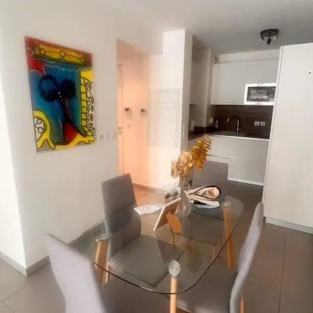Magnifique Et Grand 2 Pieces Centre De Avec Parking En Sous Sol Apartment